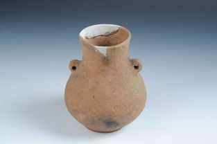 傳歷史記憶 展黑土風(fēng)采 之龍博珍藏篇 雙耳陶壺