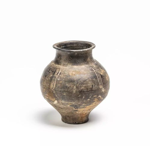 看這里...中原古陶瓷發(fā)展脈絡(luò)一目了然